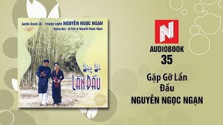 Nguyễn Ngọc Ngạn | Gặp Gỡ Lần Đầu (Audiobook 35)