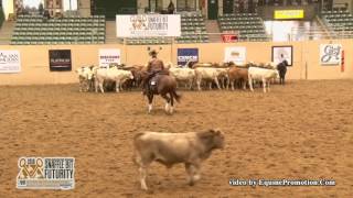 That Cats On Fire ridden by Chris Dawson  - 2016 NRCHA Snaffle Bit Futurity (Herd-Open Prelims)