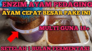 BEGINI ENZIM AYAM PEDAGING  SETELAH 1 BULAN DI FERMENTASI