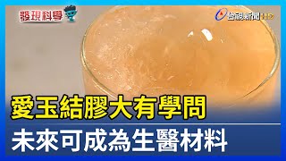 愛玉結膠大有學問 未來可成為生醫材料【發現科學】