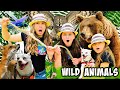 Animal Adventures! Learn About Animals w/ The Wild Adventure Girls!