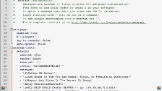 Plugin Tutorial--AutoMessage