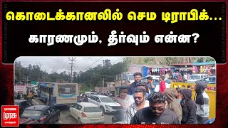 கொடைக்கானலில் செம டிராபிக்... | காரணமும், தீர்வும் என்ன? | KODAIKANAL | MALAIMURASU SEITHIGAL