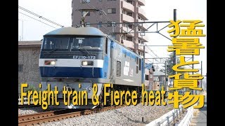 猛暑と貨物列車 高崎線桶川駅付近 Japanese freight train \u0026 fierce heat