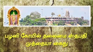 பழனி கோயில் தலைமை ஸ்தபதி முத்தையா கைது | உற்சவர் சிலை முறைகேடு சம்பவம் | Palani |Dinamalar