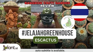 #JelajahGreenhouse Bangkok Cacti Garden Review | ES CACTUS