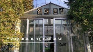 🇰🇷4K RIVERSIDE ARBORETUM GREENHOUSE