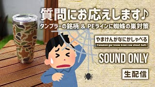 2020.09.05_朝【ラジオ】やまけんが何かしゃべる  SOUND ONLY【生配信】／渓流ベイトフィネス・PEの蜘蛛の巣対策は・・・ありません編