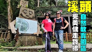 擁抱大自然亨受森林浴【溪頭自然教育園區】完美健走路線 Xitou Nature Education Park (Taiwan)