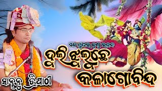 Duli Duluche Kala Gobinda // ଦୁଲି ଦୁଲୁଛେ କଳା ଗୋବିନ୍ଦ // Santanu Tripathy// Krishna Bhajan