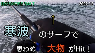 最強寒波中のサーフゲームで、まさかの大物がヒット!?