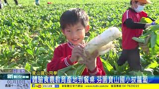 新彰化新聞20240110 體驗食農教育產地到餐桌 芬園寶山國小拔蘿蔔