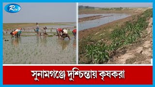 সুনামগঞ্জ ফসল রক্ষা বাঁধের নির্মাণ কাজ এখনও শুরু হয়নি | Rtv News