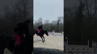 05/02Top séance malgré quelques petite barres #foryou #horse #cheval #sarah #equestrian #pony #cso