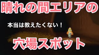 【sky星を紡ぐ子どもたち】雨林の晴れの間エリアには穴場スポットがあるらしい