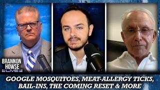Google Mosquitoes, Meat-Allergy Ticks, Bail-Ins, the Coming Reset & More