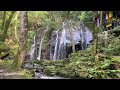 june 2023金引の滝kanabiki no taki 日本の滝百選のひとつone of the 100 best waterfalls in japan