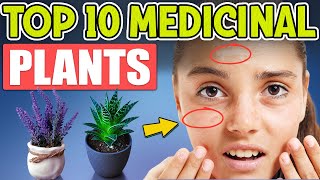 Top 10 Medicinal Plants & Their Mind-Blowing Uses