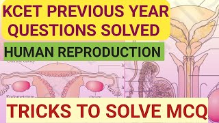 KCET PREVIOUS YEAR QUESTIONS SOLVED| HUMAN REPRODUCTION MCQ | TRICKS TO SOLVE MCQ | KCET EXPECTED