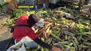 Daily Life in Santa Clara City, Cuba Jan. 2024 #cuba #santaclara #lifestyle #cubanos #cuban #people