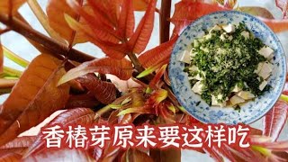 春天养生香椿芽少不了，能和鸡蛋一起炒着吃吗？原来这样吃就好了