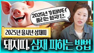 2025년 삼재띠 돼지띠가 '삼재' 피하는 최고의 방법 '이것'만 기억하고 조심하자!? 삼재띠 돼지띠 완벽분석