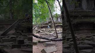 Beng Mealea Temple, Siem Reap #travel  #nature #cambodiavlog