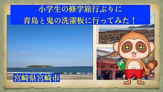 《旅の思い出》小学生の修学旅行ぶりに宮崎の「青島」「鬼の洗濯板」に行ってみた！(Recommended Spots in Japan)