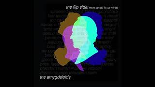 The Amygdaloids - The Flip Side: More Songs in Our Minds (full album) [2017]