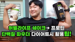 허벌라이프 쉐이크 단백질파우더 다이어트시 활용팁!