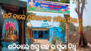 ଶନିବାରେ ଶନିଦେବଙ୍କ ପୂଜା// ଓସ୍ତ ଗଛର ପୂଜା ବିଧି//saisandhya YouTube channel