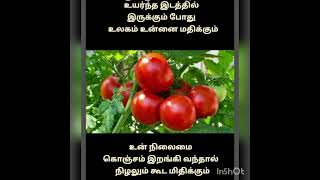 🍅 மதிப்பு வேற வெல்ல போது  இன்னும் கொஞ்சம் நாள் அந்த  ஆட்டாம்  அப்புறம் ரோட்டில் போய் கிடப்பா பாரு