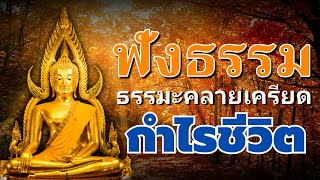 ธรรมะคลายเครียด กำไรชีวิต ชีวิตไม่เที่ยง จิตใจสงบ ☕☕ ฟังธรรมะตอนเช้าแนว - ธรรมะคลายเครียด