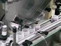 新碩達 數粒機 充填機 鎖蓋機 貼標機產線 automatic counting line with wrap around labeler