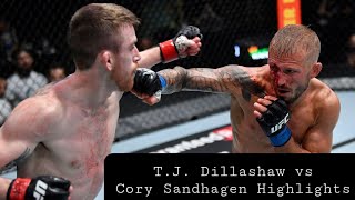 TJ Dillashaw vs Cory Sandhagen Highlights