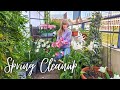 Spring Container Garden Maintenance