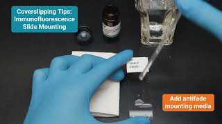 Immunofluorescence Slide Mounting: Tips for Coverslipping