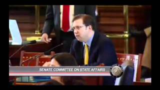 Texas Watch Testifies Against HB 274 in Senate State Affairs Committee