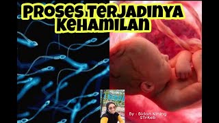 Proses Terjadinya Kehamilan