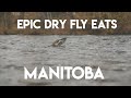 Epic SloMo Eats - Dry Fly Arctic Grayling