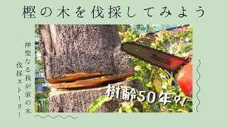 Garden｜ 樫の木を伐採してみよう ～40年以上我が家を見守ってくれた老木伐採ストーリー～