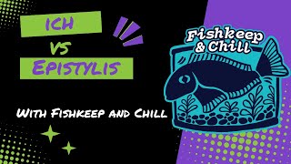 Ich vs. Epistylis: Key Differences Explained by Jen and Nora from Fishkeep and Chill