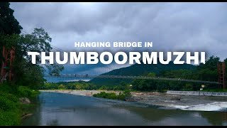 Beautiful Hanging Bridge in Thumboormuzhi | Chalakudy River | Travel Video |