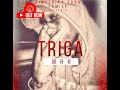 TRIGA - MHH (Official Audio)