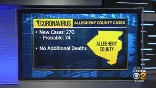 Allegheny Co. Health Dept. Reports No New Deaths, 270 Additional Cases