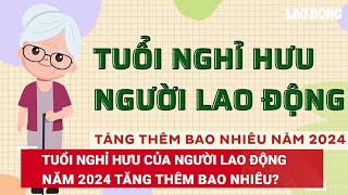 Tuổi nghỉ hưu của người lao động năm 2024 tăng thêm bao nhiêu? | Báo Lao Động