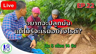 🔴LIVE สด! 5 เรื่องต้องรู้ก่อนปลูกมันสำปะหลัง เริ่มอย่างไรดี? EP.1 #ผู้จัดการมัน