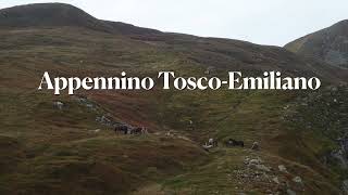 Appennino Tosco-Emiliano