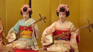 【Trailer】Yamagata Maiko【Yamagata Renaissance Project】