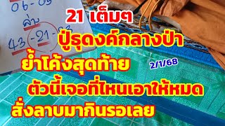 ปู่ธุดงค์กลางป่า 21เต็มๆ ย้ำโค้งสุดท้าย ตัวนี้เจอที่ไหนเอาให้หมด สั่งลาบมากินรอเลย 2/1/68